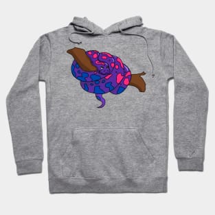 Pride Python Hoodie